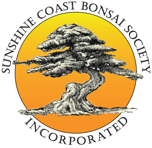 Sunshine Coast Bonsai Society